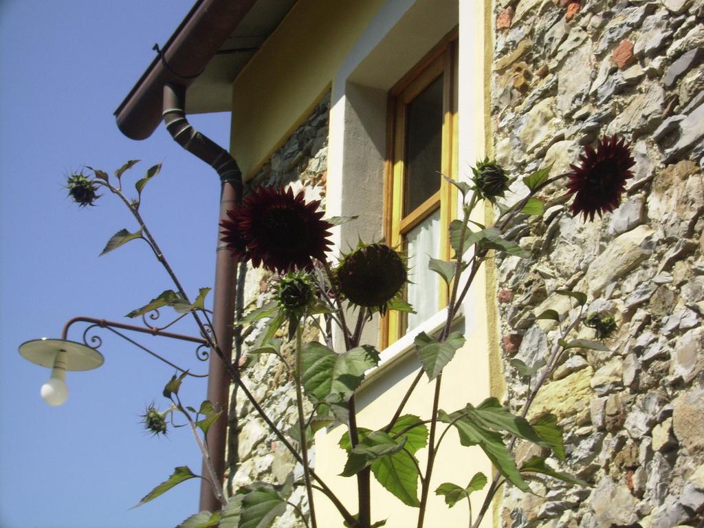 Il Girasole Acomodação com café da manhã Fosdinovo Exterior foto